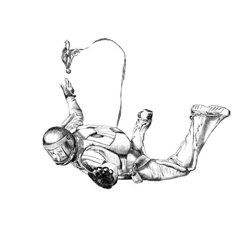 Skydiver