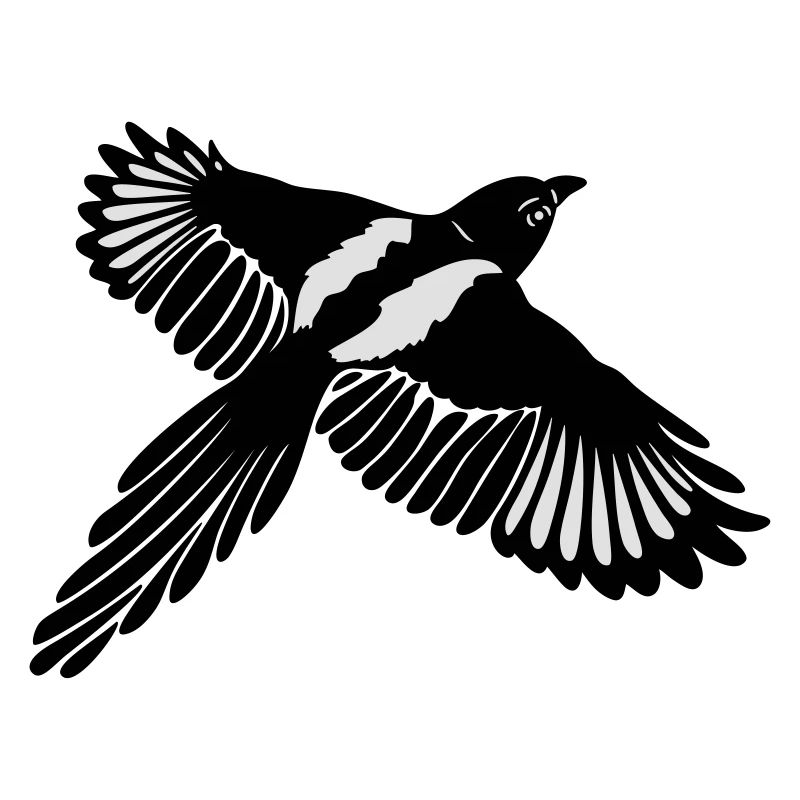 Elster Magpie