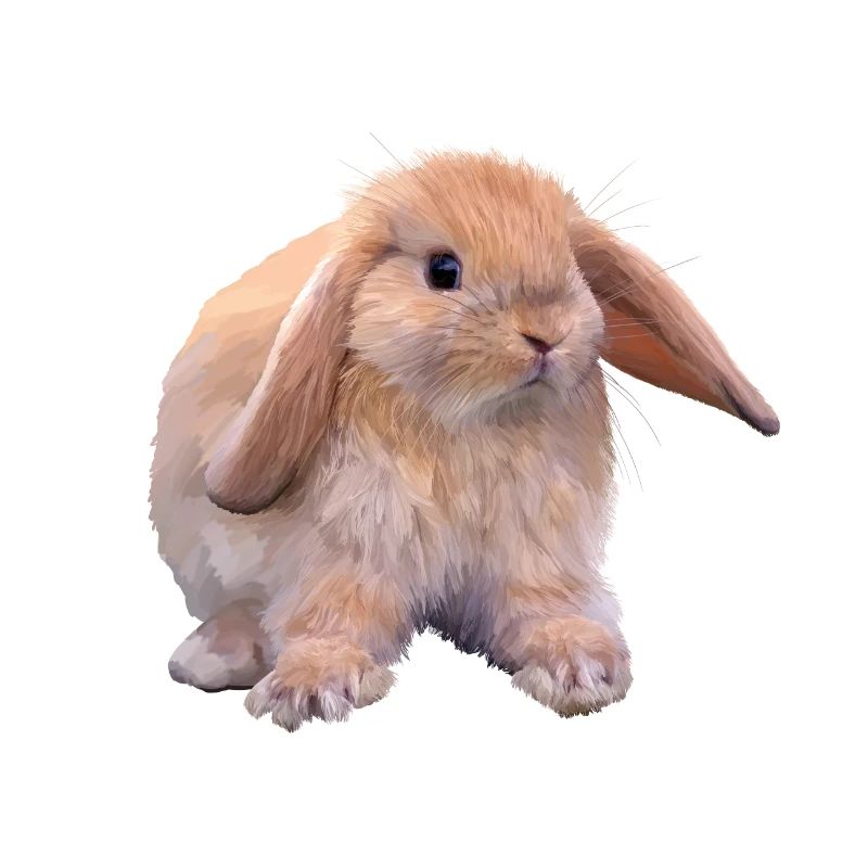 Kaninchen