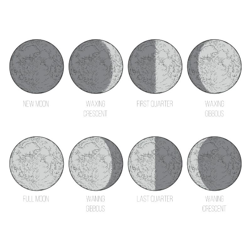 Monochromes Mondphasen-Gitter