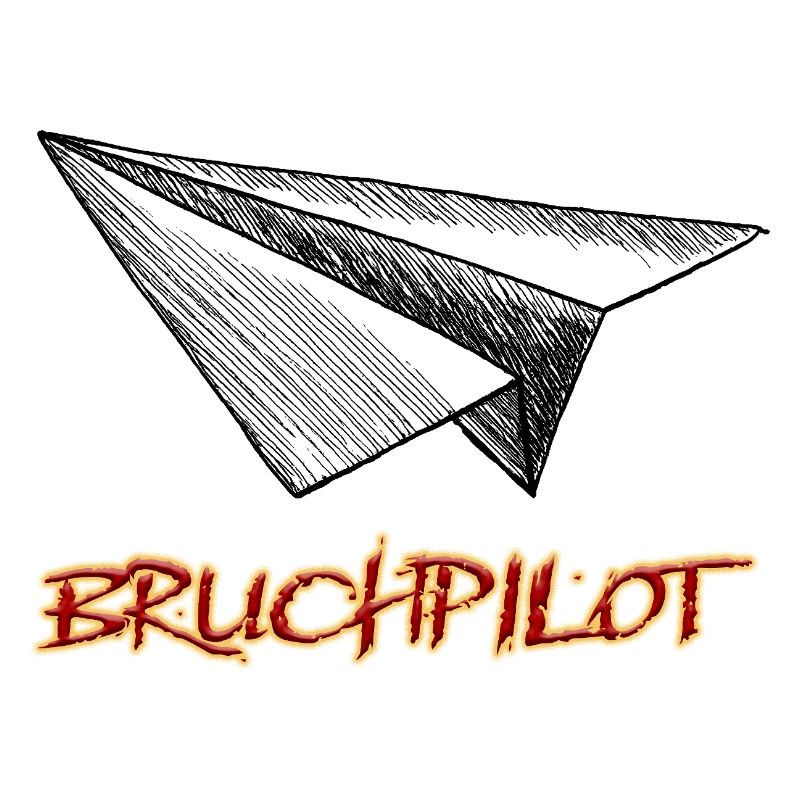 Crash pilot