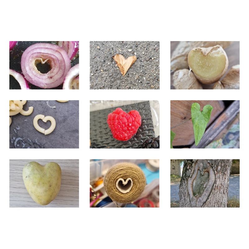 Love ist everywhere.