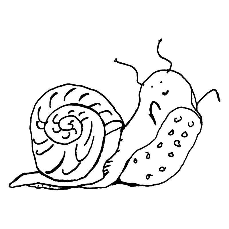 Schnecke