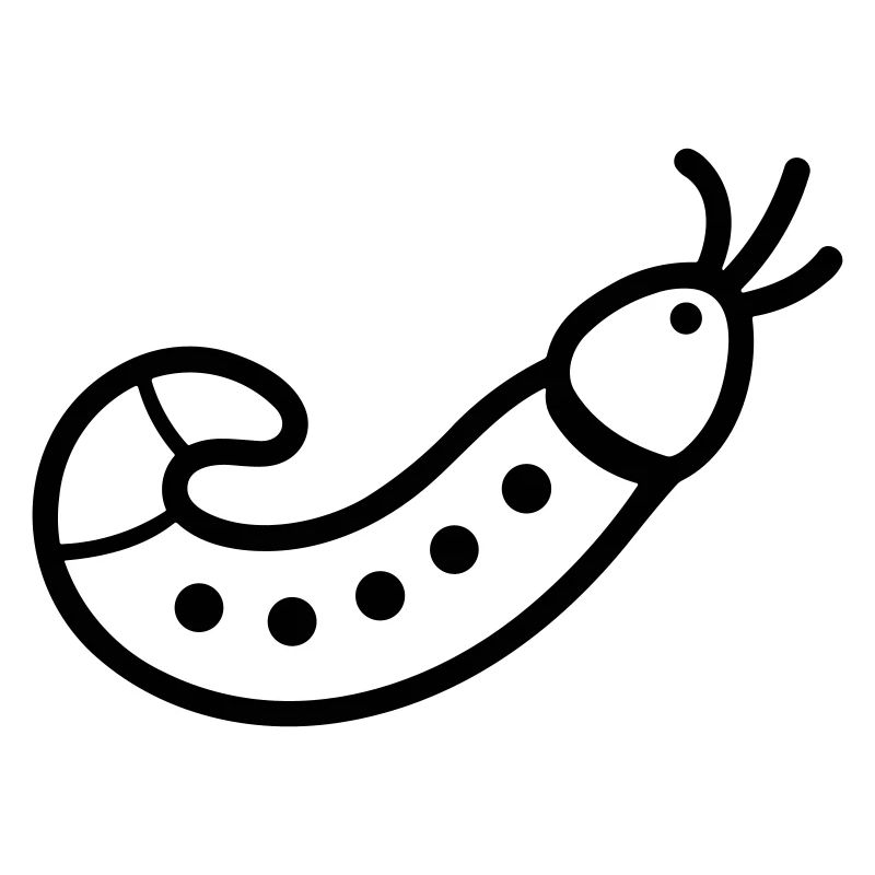 Regenwurm