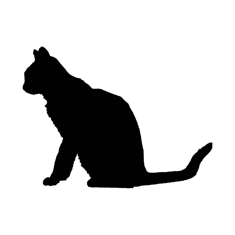Katze