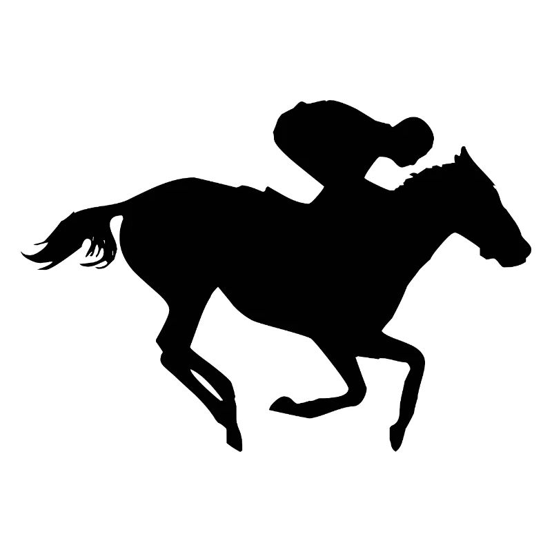 Reiten