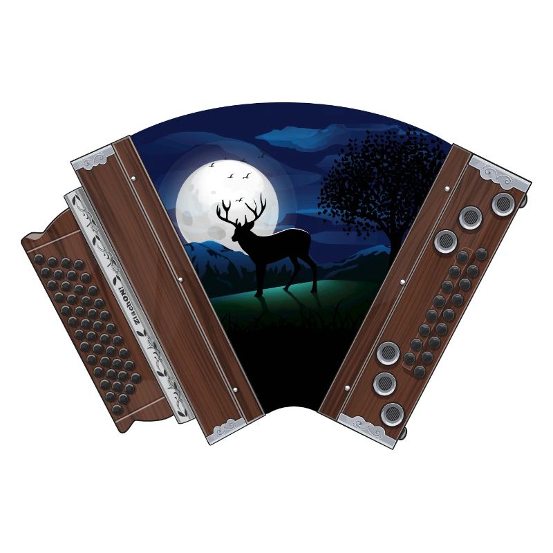 Steirische Harmonika Mondschein | ZiachON!