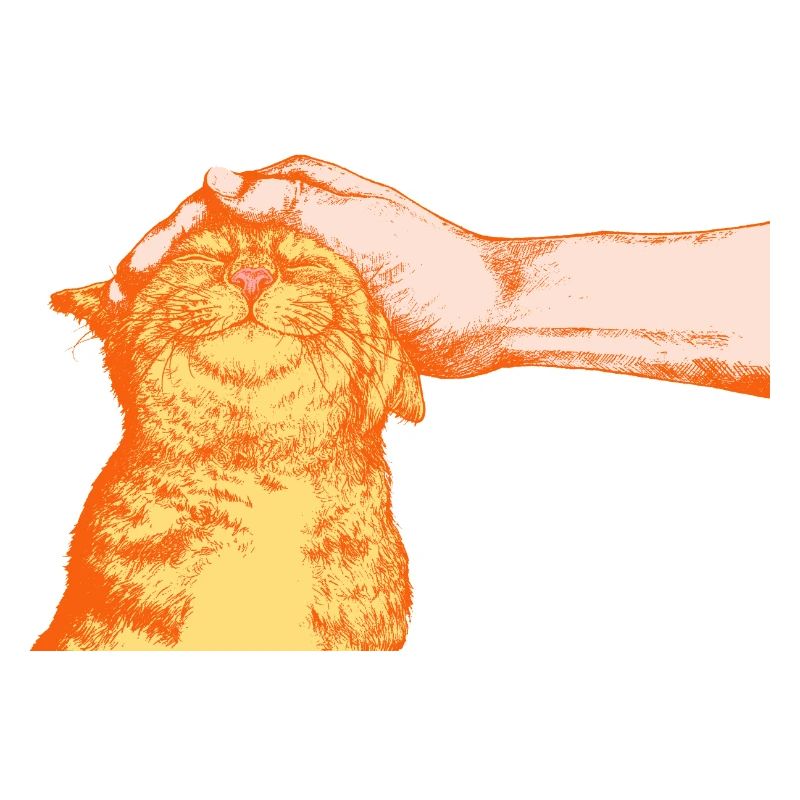 DIE GLÜCKLICHE KATZE