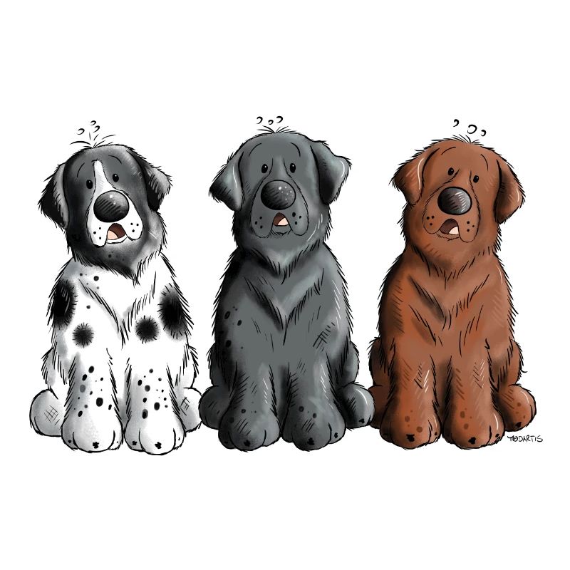 Neufundländer Trio