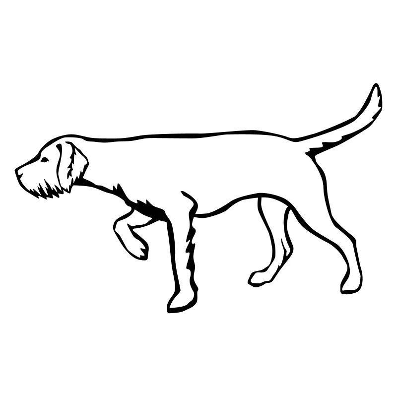 Magyar Vizsla