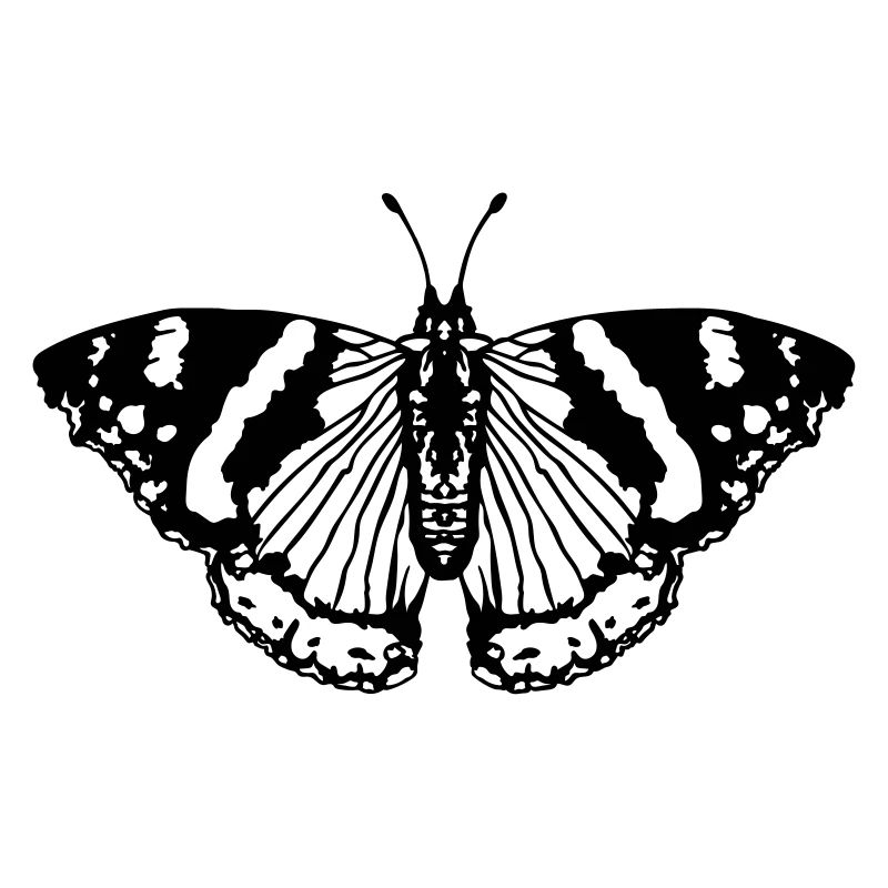 Schmetterling butterfly