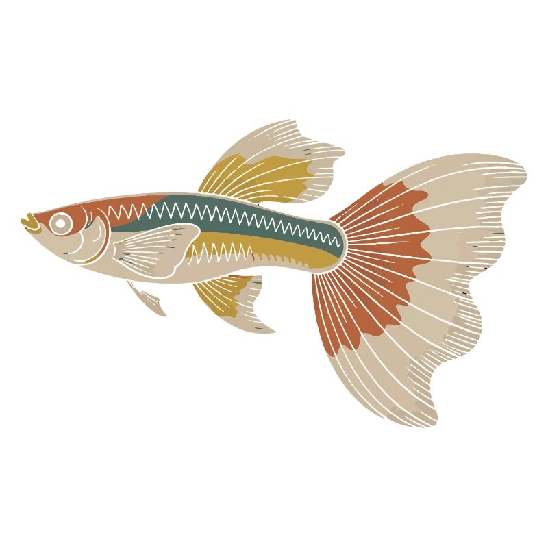 Bunter Tropenfisch Sailfin