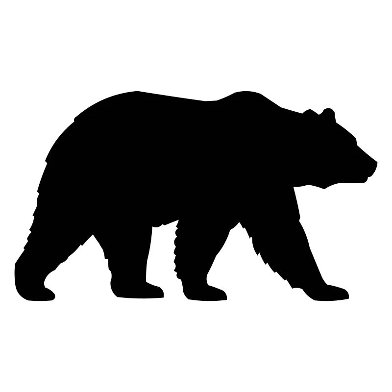 grizzly_baer