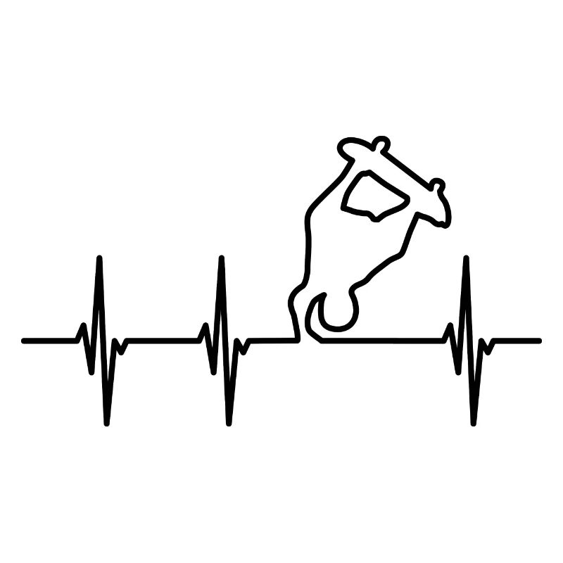 Skateboarder EKG Herzlinie