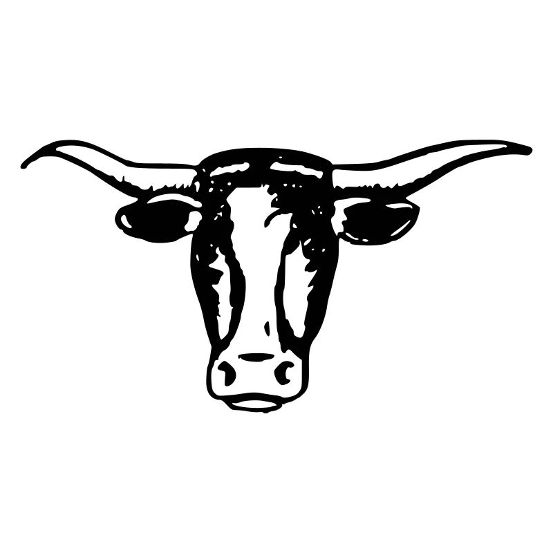 Longhorn Ochsenkopf