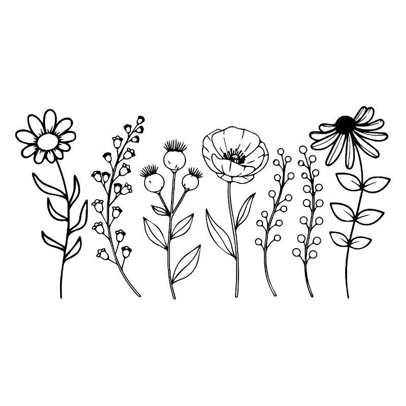 Zarte Blütenlinien Botanik Design