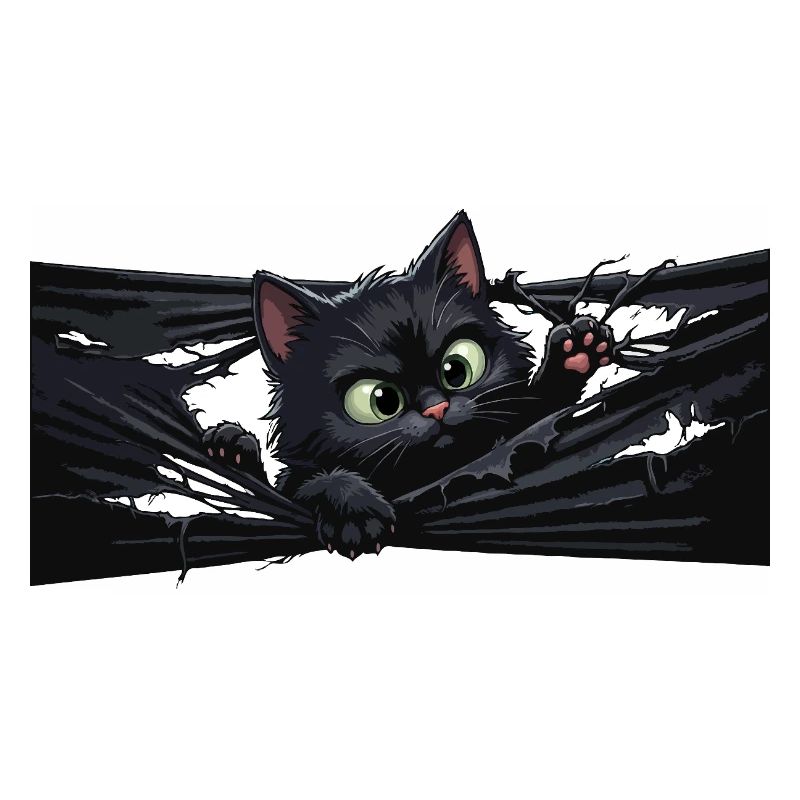 Schwarze Katze im Schatten