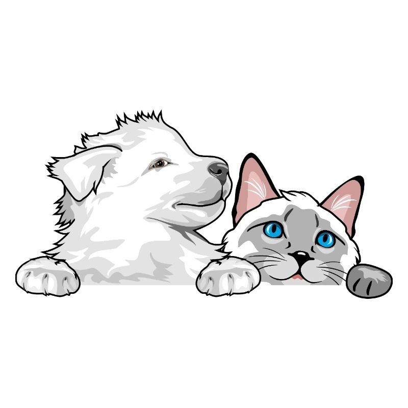 Peeking_Swiss_Shepherd_puppy_and_Siamese_cat