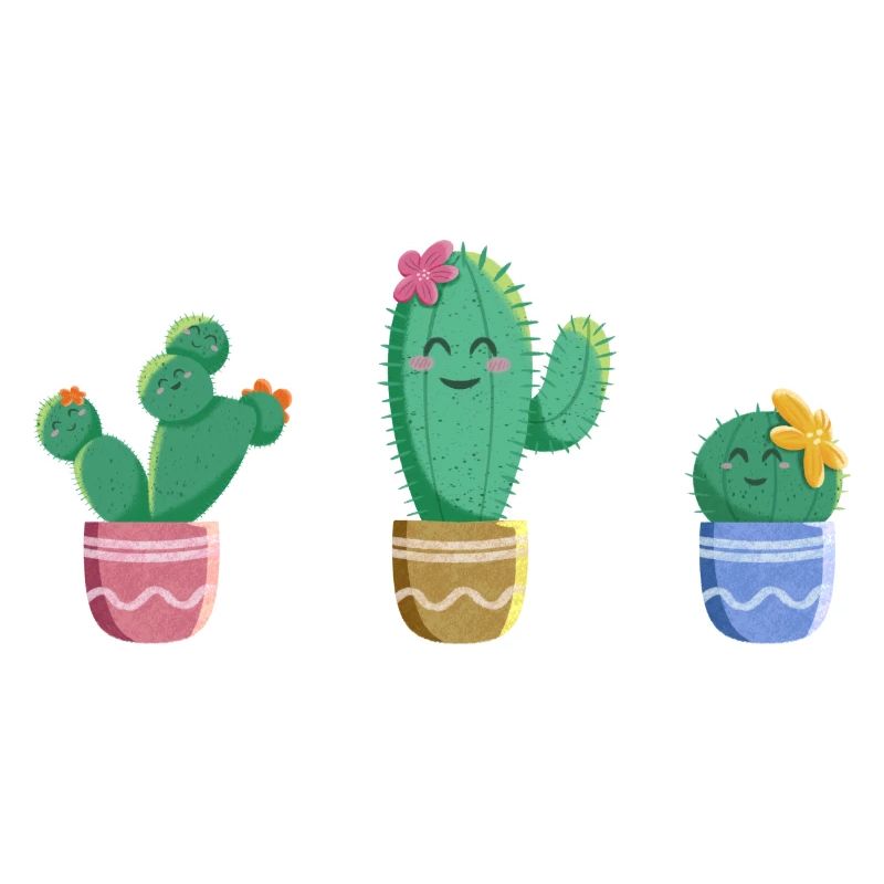 Kaktus Trio