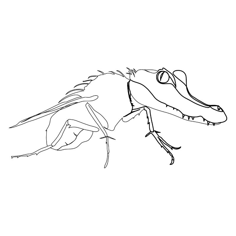 Krokodil Mosquito