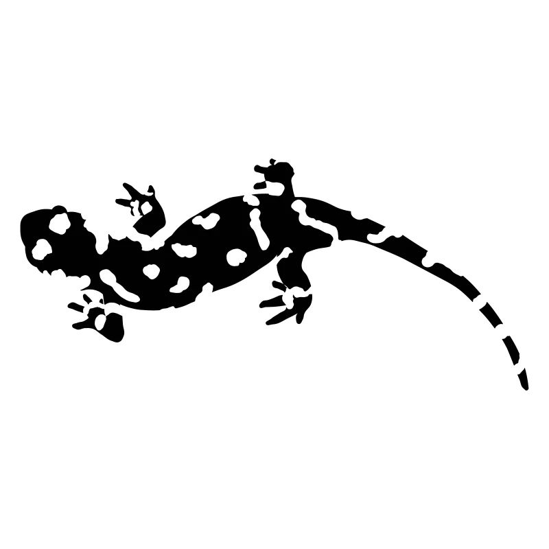 Salamander