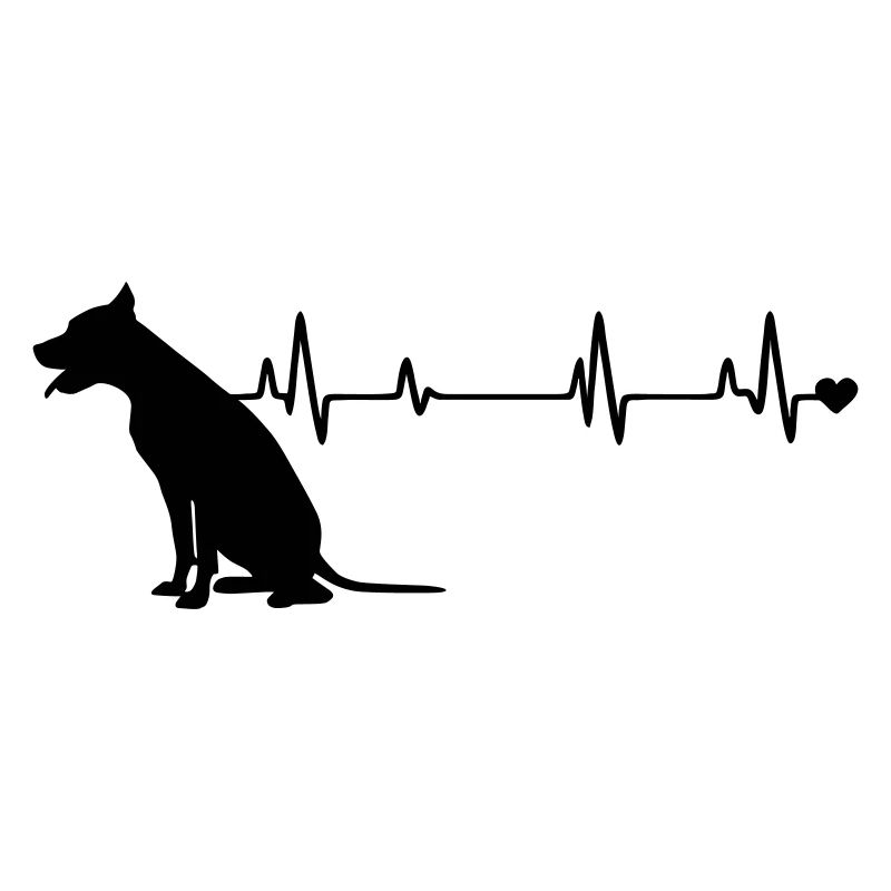 Chien