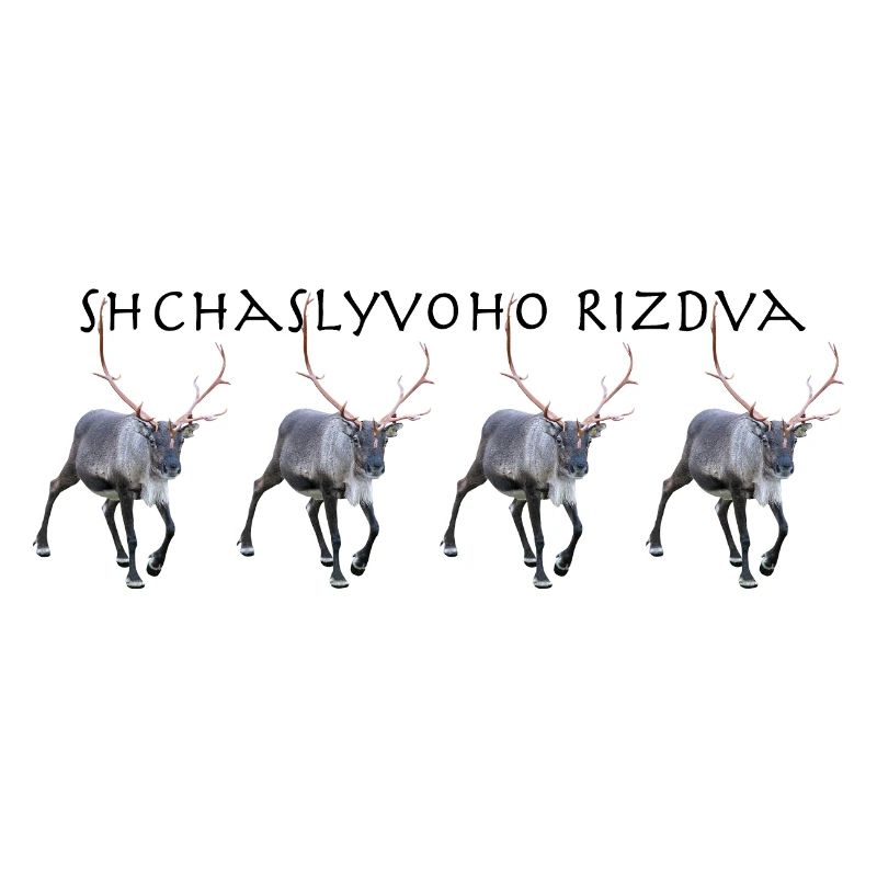 Shchaslyvoho Rizdva
