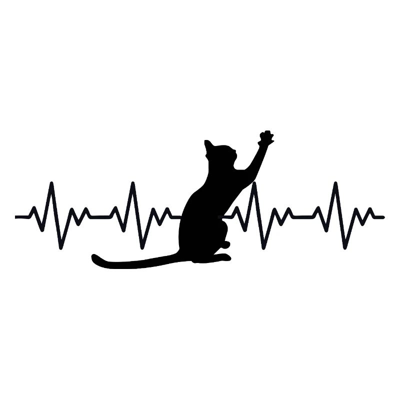 Katze EKG Herzfrequenz Herzschlag