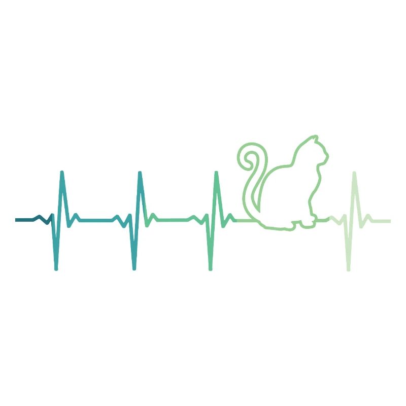 chat battement de coeur chats