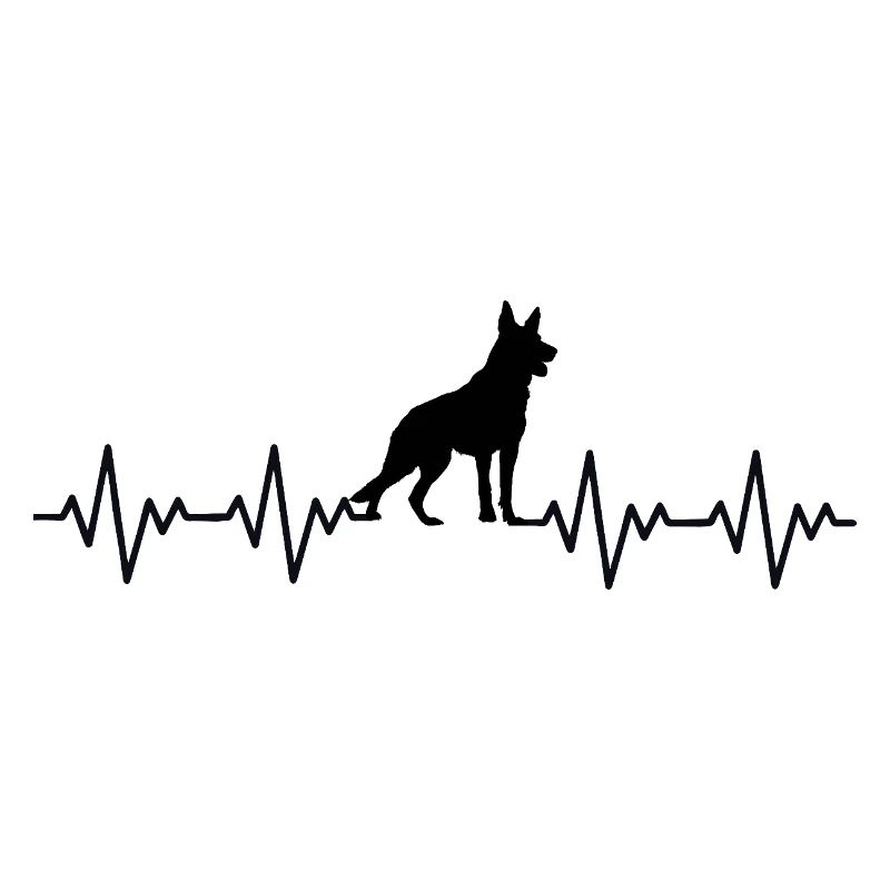 Deutscher Schäferhund EKG Herzschlag