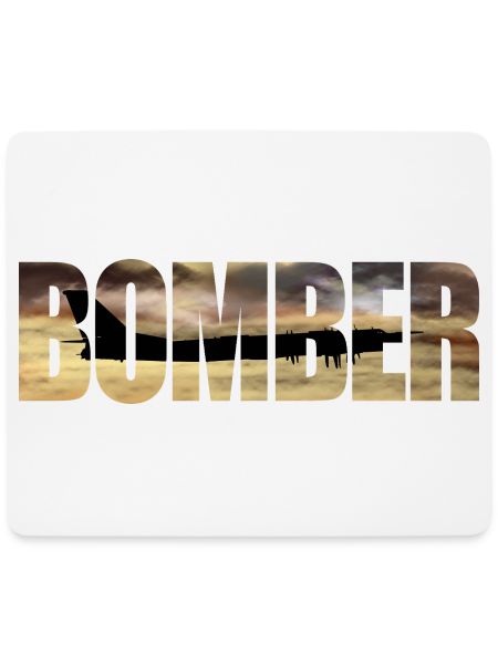 Bomber Tu-95