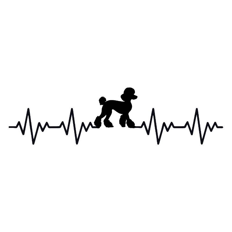 Pudel EKG Herzschlag