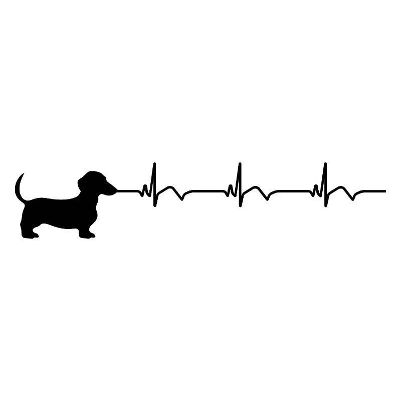 Dackel EKG Herzschlag