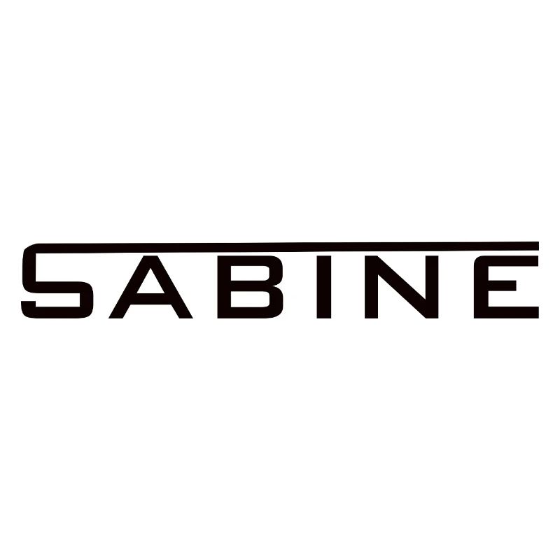 Sabine - Name Schriftzug Design