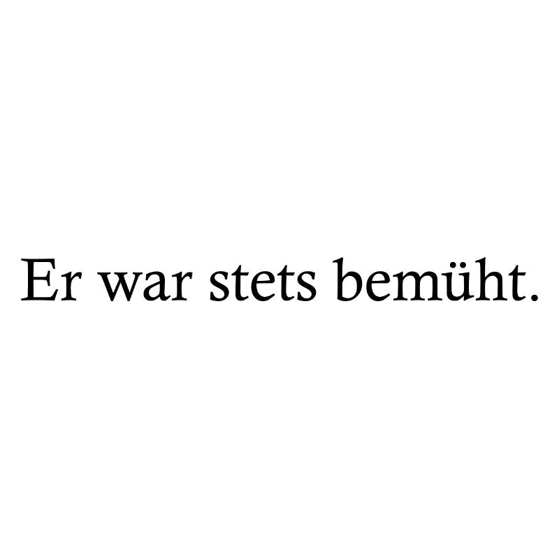 Schule: Er war stets bemüht.