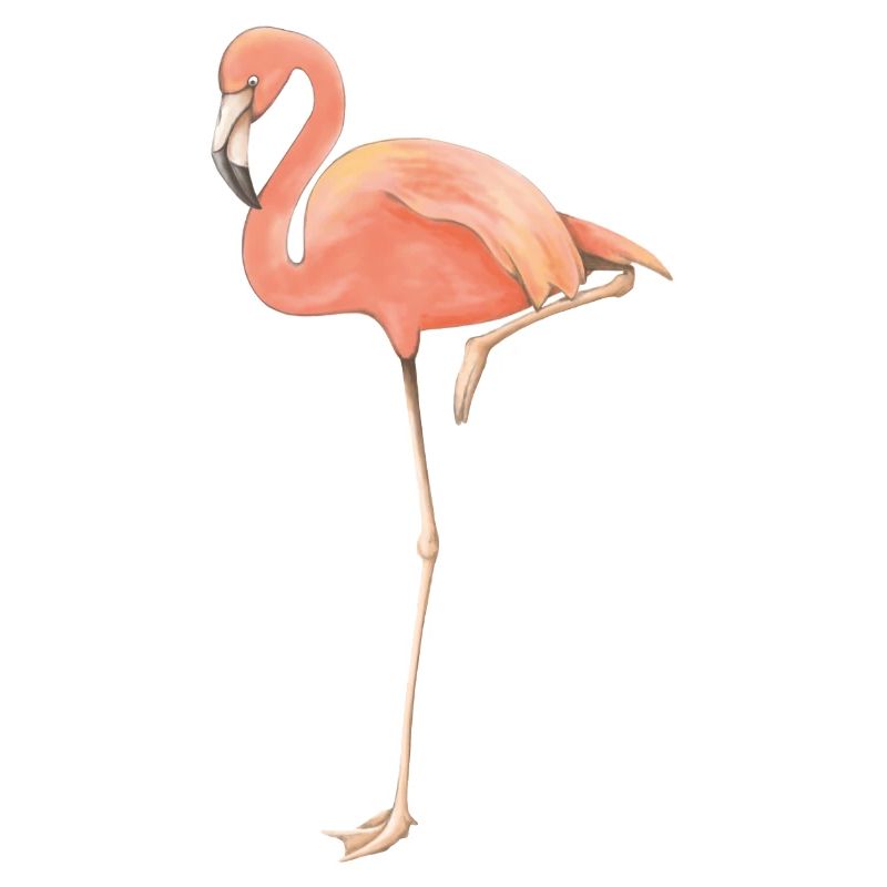 Flamingo solo