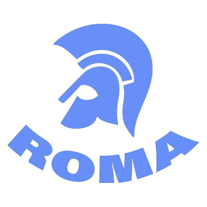 ROM