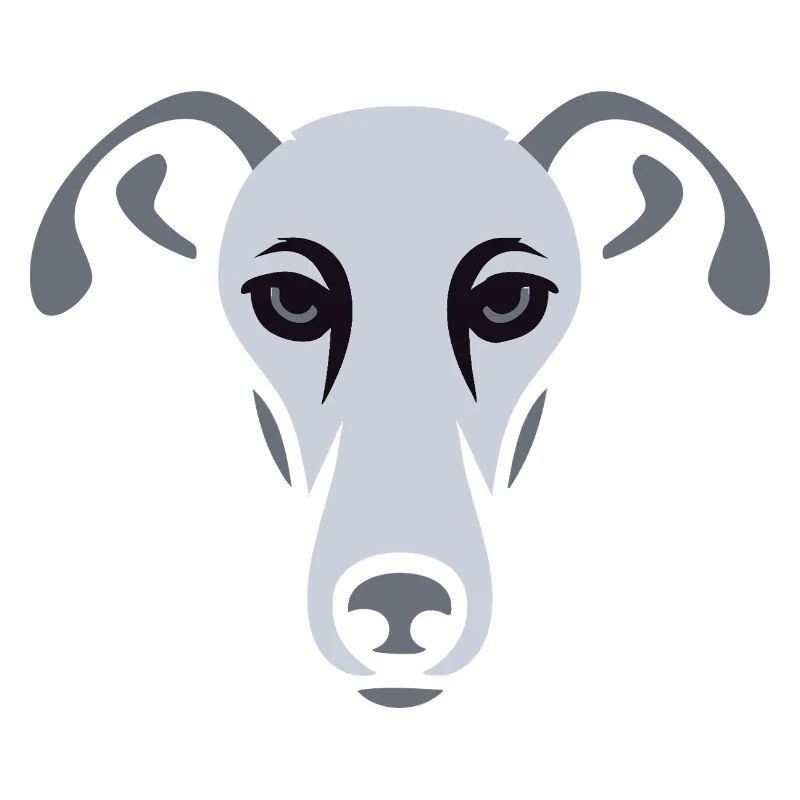 Windhund, Galgo