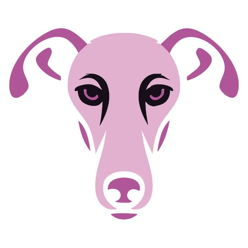 Windhund, Galgo