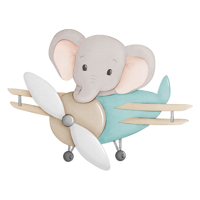 Elefant im Flugzeug