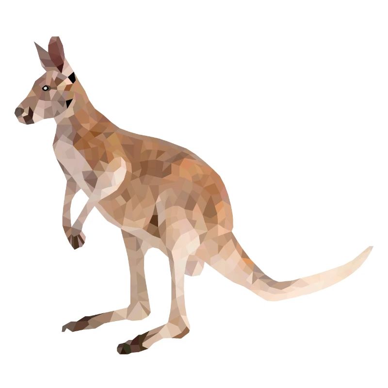 Känguru
