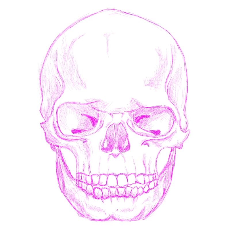 SkullSketchPink