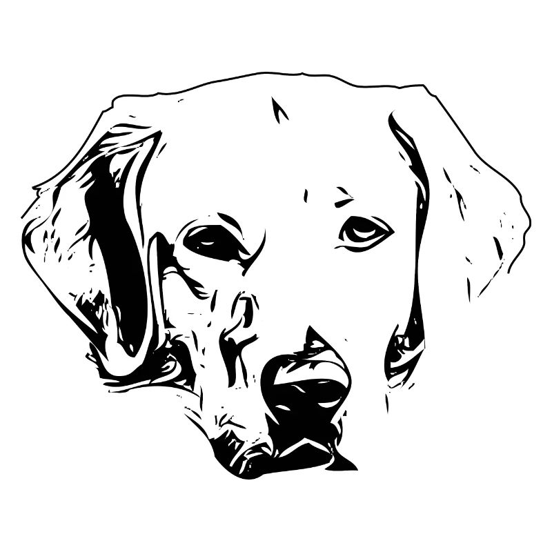 Labrador