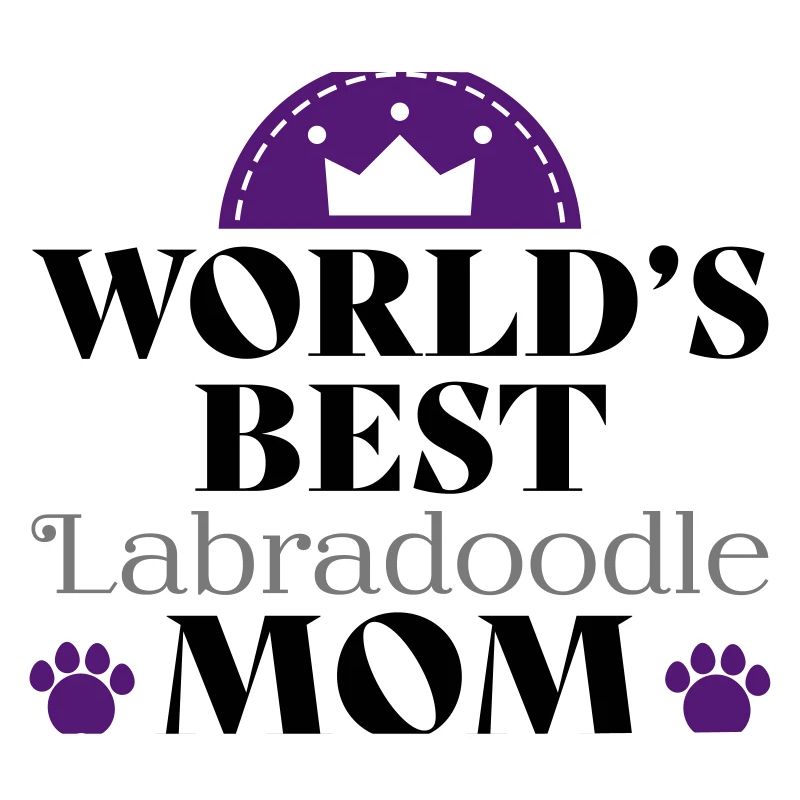 Labradoodle