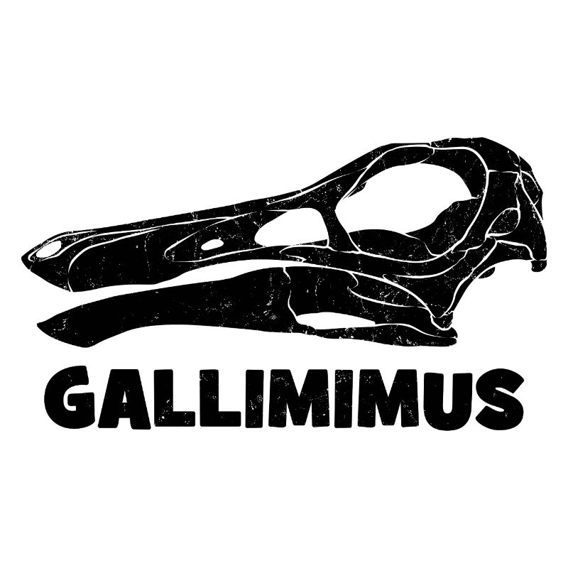Gallimimus Schädel Fossil