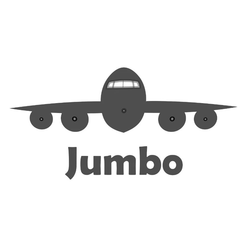 Der Düsenflieger