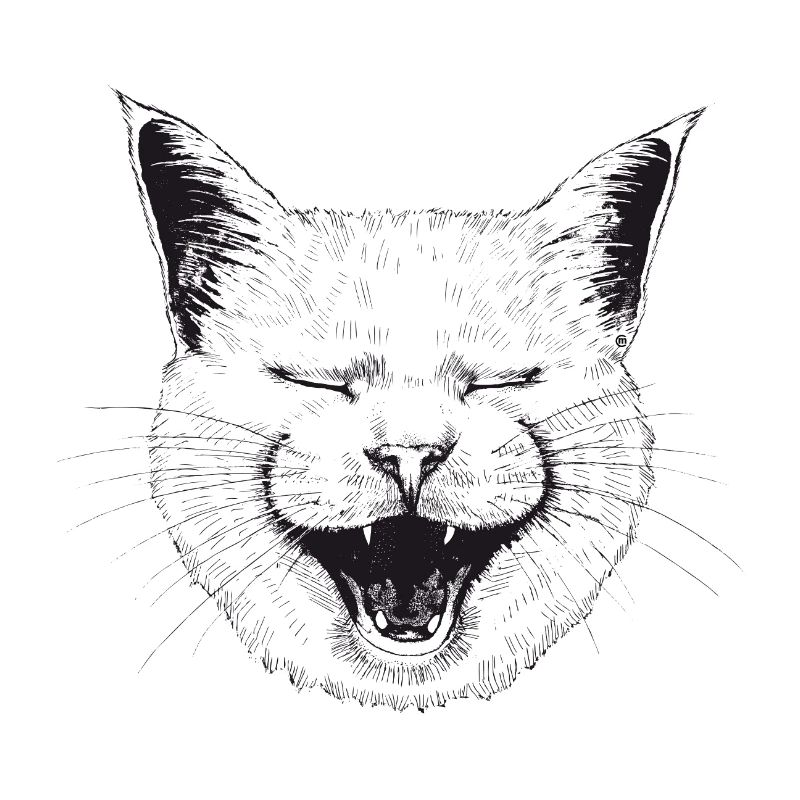 LOL Cat