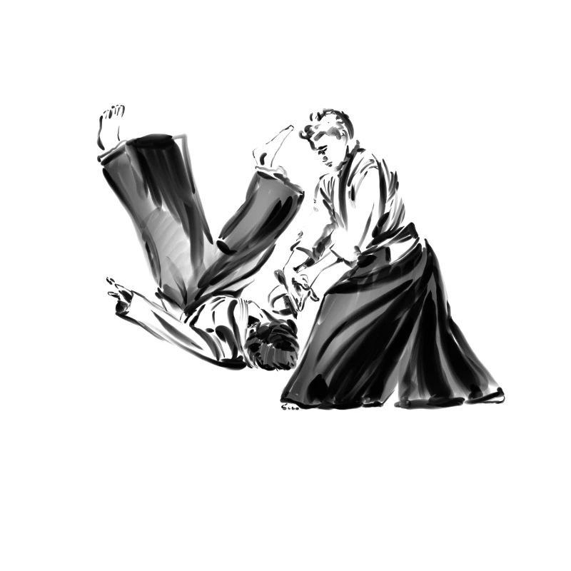 aikido