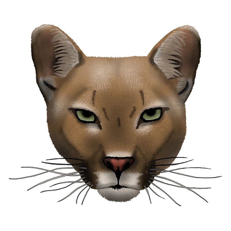 Cougar R6Z