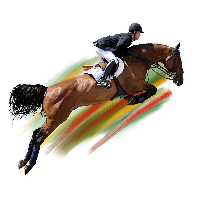 Cavalier de saut d’obstacles à rayures arc-en-ciel